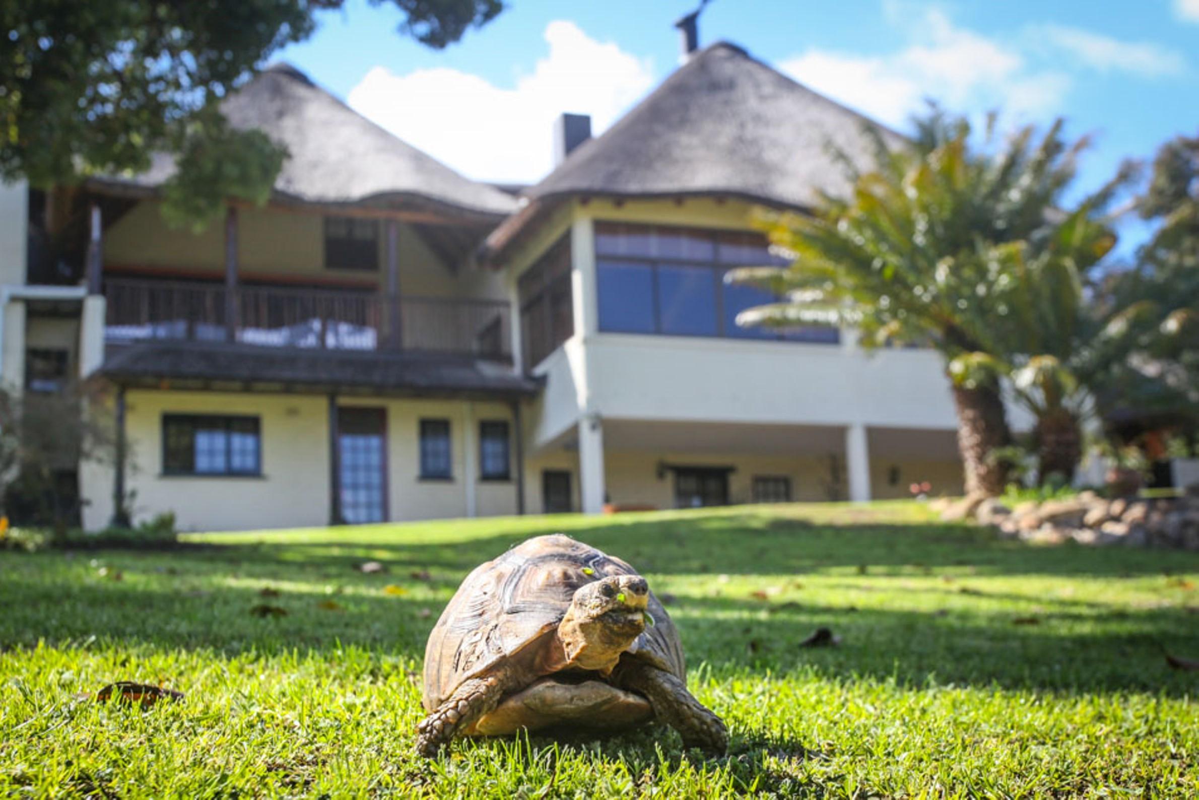 Winelands Villa Guesthouse And Cottages Сомерсет-Уэст Экстерьер фото